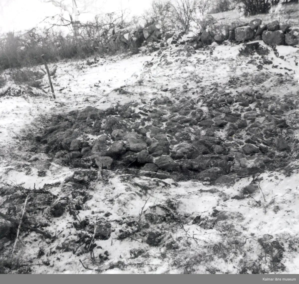 Från arkeologisk undersökning 1961. Stensträngen frilagd.