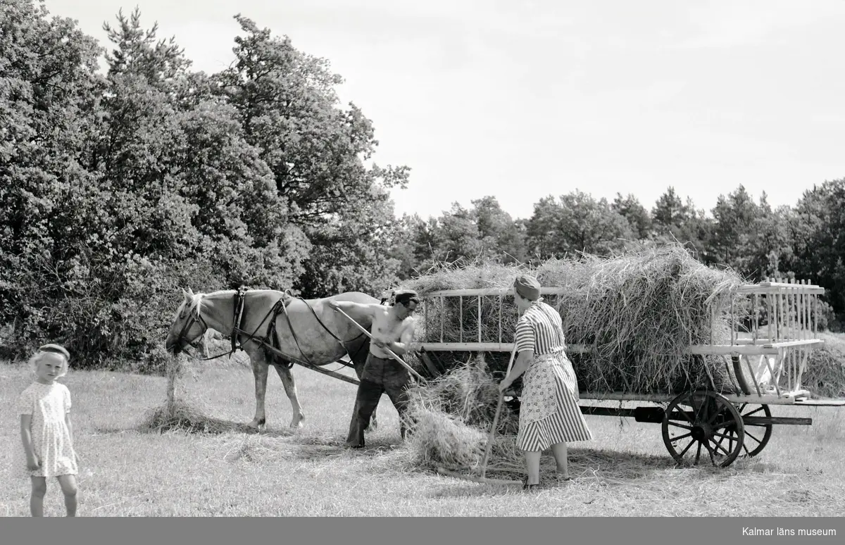 Hökörning och flicka till vänster.