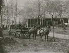 Godsägare Francke med två ölandshästar ( från Tveta, Öland). 1880-talet.