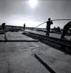 Från byggandet av Ölandsbron.