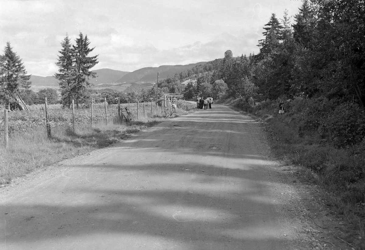 Bussvelt ved Voldmo i Melhus