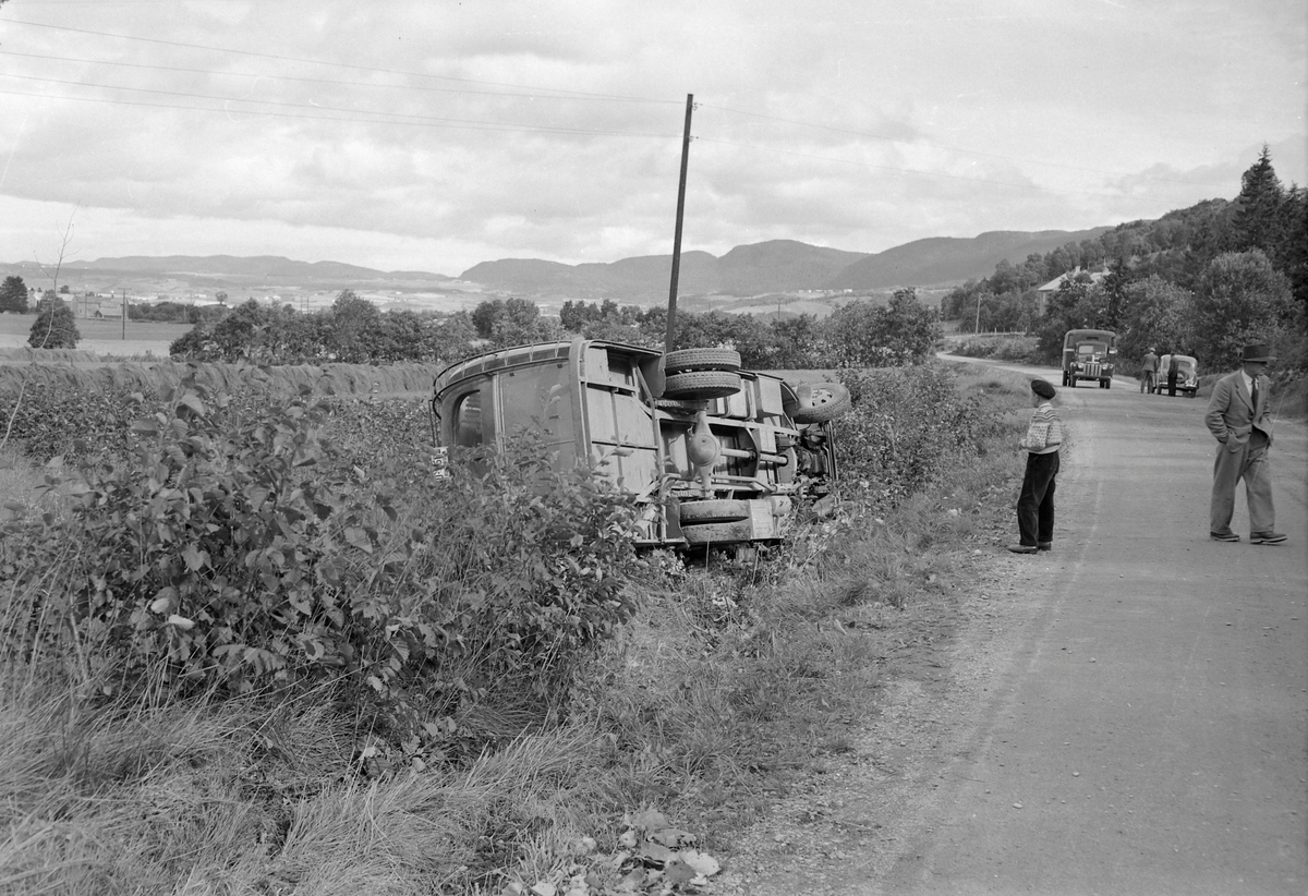 Bussvelt ved Voldmo i Melhus
