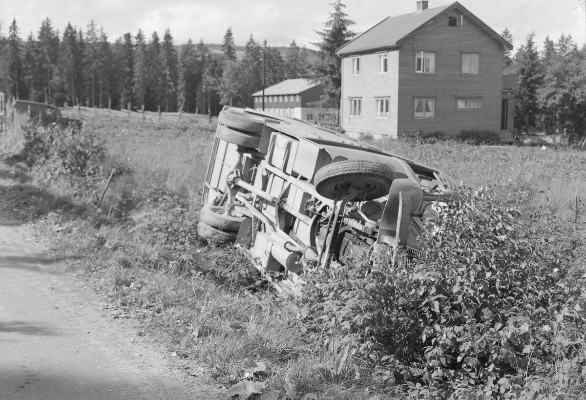 Bussvelt ved Voldmo i Melhus