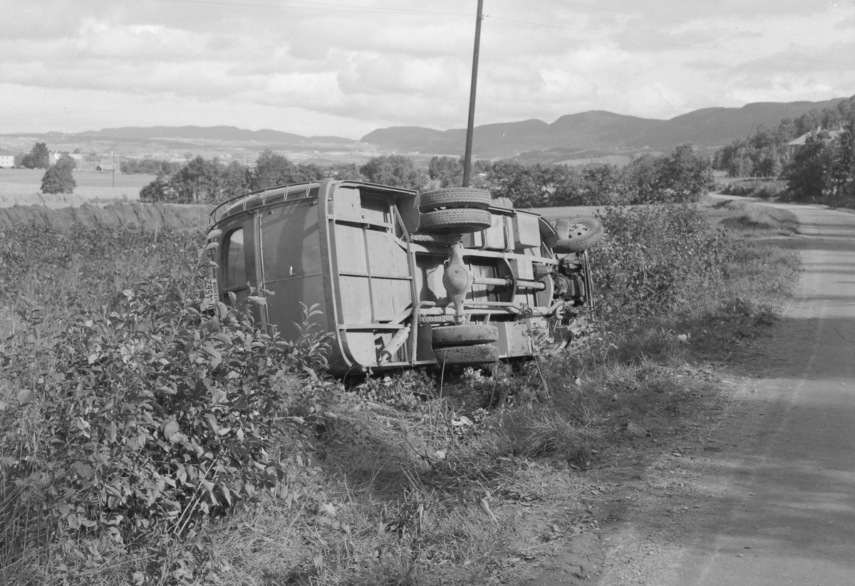 Bussvelt ved Voldmo i Melhus