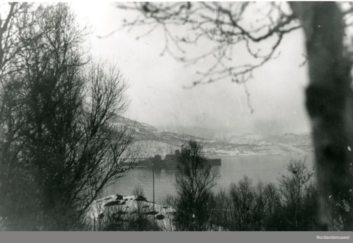 NARVIK 1940. KRIGSSKIP PÅ FJORDEN.