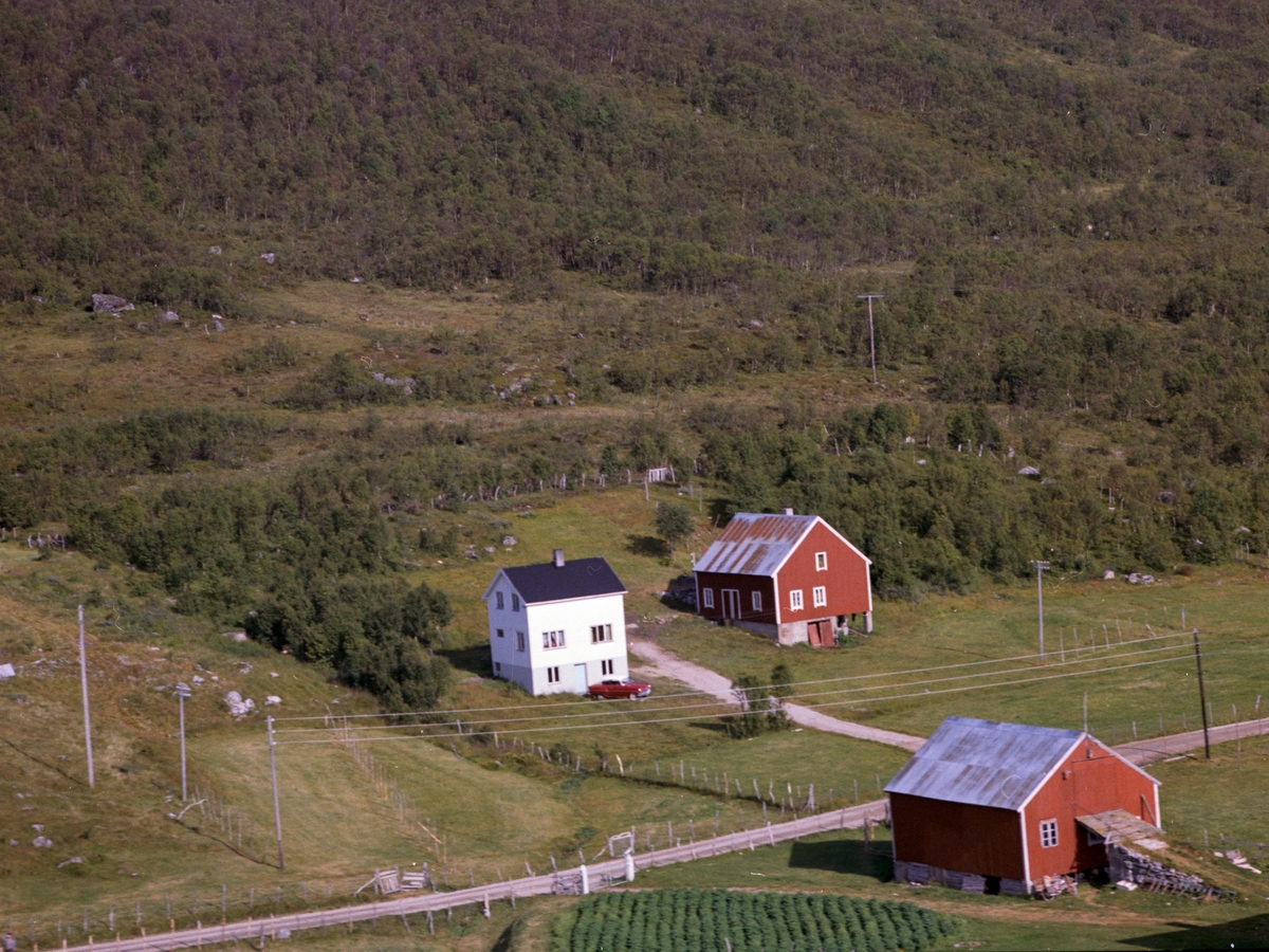 Flyfoto fra Reinstad i Godfjorden.