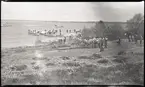 Landstigning på skärgårdsö. Andra bilder i Bergers samling tyder på att detta fotografi tagits då manskap från pansarskeppet SVERIGE deltog i stridsövning på Stabbo i Stockholms södra skärgård 1929, detta har dock inte kunnat bekräftas.