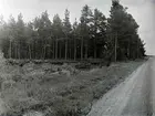 Grustäkt i skogen i Öbbestorp.