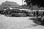 Stockholmsmiljöer och byggnader.
Hötorget med torghandel.