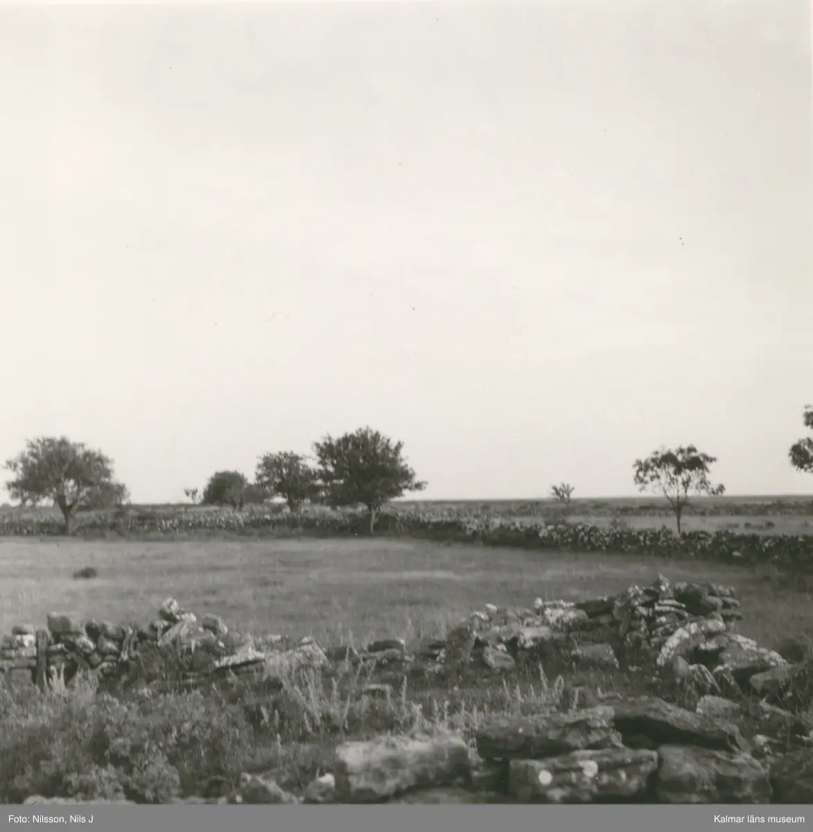 Ruinerna av ett hus i Dröstorps ödeby på alvaret, Öland. Byn övergavs under mitten av 1800-talet.