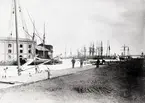 Vy med drivis vid Ölandshamnen.
Foto: den 18/5 1889