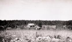 Torpet "Tallen". Mellan Träthult och Raglebo, invid landsväg