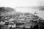 Bilden visar en vy över Gamleby med Cornelius brädgård i mellanplanet. I Gamlebyviken syns bland annat några bryggor och en segelskuta.