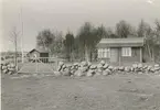 Stugbyn i Gårdby. Bostadshus och stenmur med grind.
