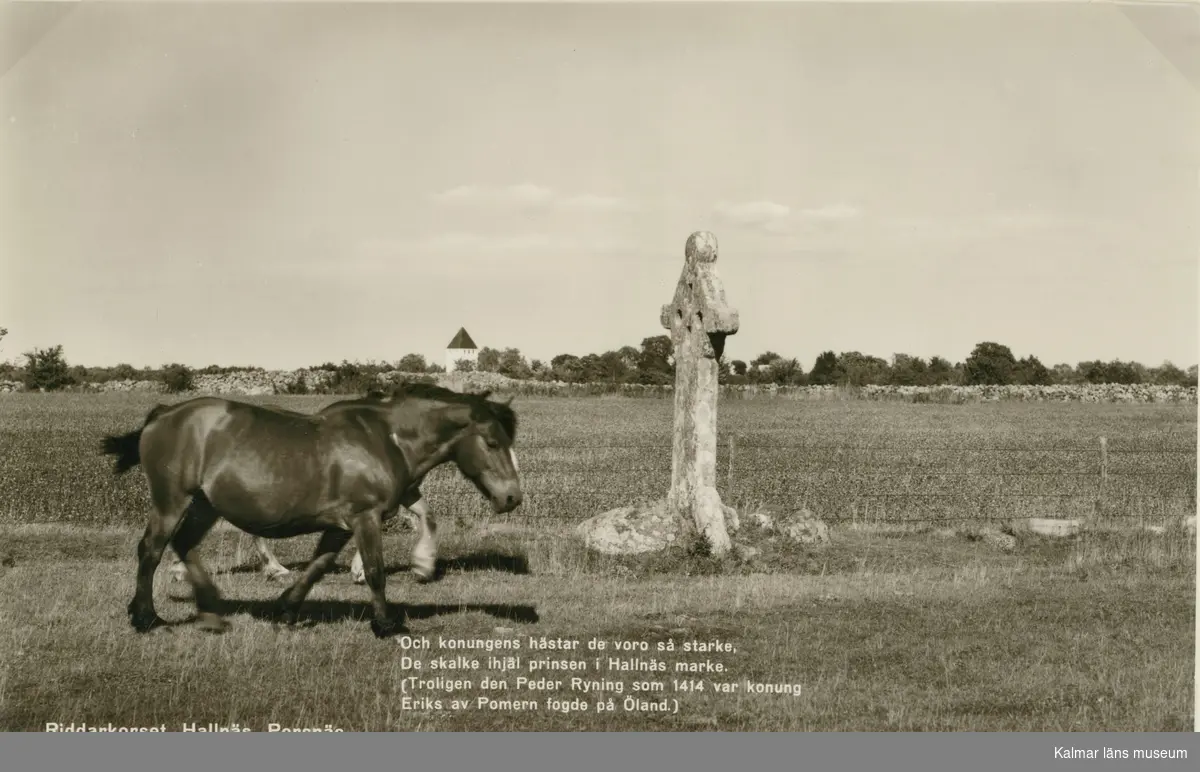 Vykort med motiv från Riddarkorset, även kallad Ryningsstenen i Hallnäs.
 
(Troligen den Peder Ryning som 1414 var konung Eriks av Pommern fogde på Öland.)