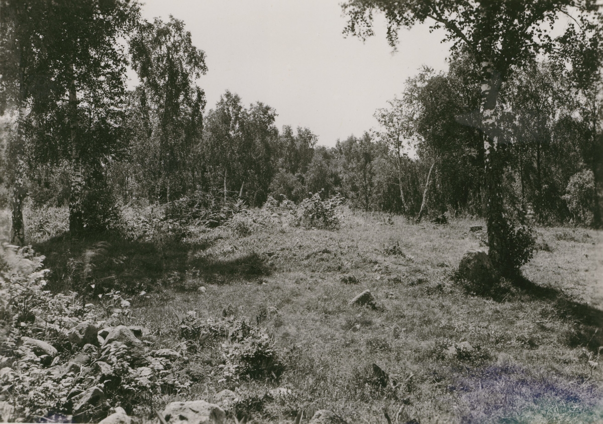 Fornlämning vid Knapegården, Skjutshagen