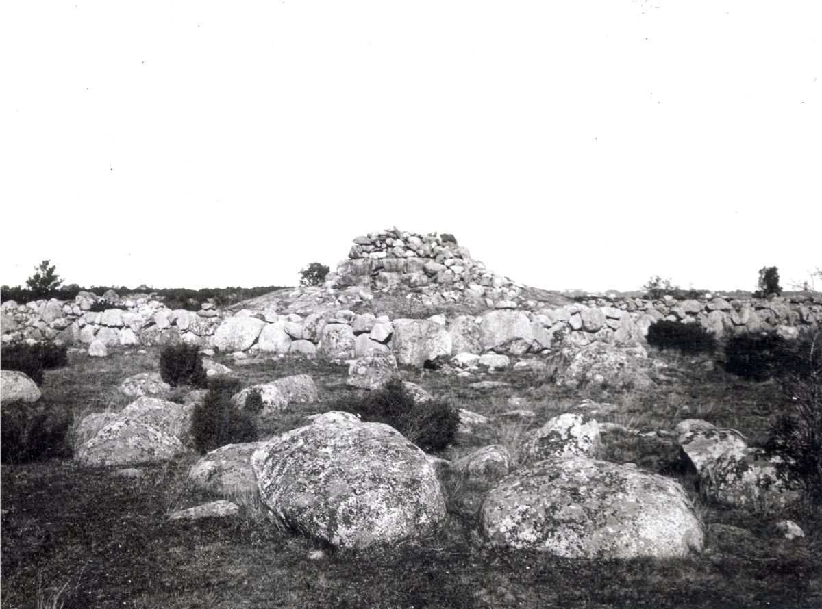 Kummel på Stensö i maj 1918.