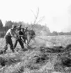 Gräsbrand i Myrö.
Maj 1956.