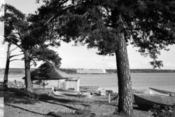 Hamar, Høiensalodden, Sterudoddden, Hamarslippen, bedding, r