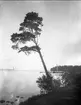 Karlsborg, från Vätterns stränder. Träbryggan syns i bakgrunden, omkr 1920. Neg. finns. Foto: Alfred Sjöberg.