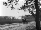 Forsvik, hästskjuts i förgrunden med utsikt över Bottensjön. Foto: Axel Sjöberg. Glasneg finns.