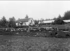 Gårdsfotografi med oxe och vagn. Okänd gård.