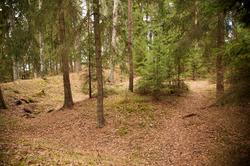 Hovinsholm, Helgøya, Hedmark. Tydelige spor det som kan ha v