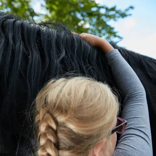 En jente klemmer en svart hest.