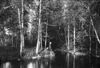 Parti från Forsvik och Göta kanal, fiskande damer. Foto: Alfred Sjöberg. Neg och glasneg finns.