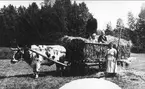 Forsvik, Flugebyn. Fotot taget år 1926, så här långt fram i tiden användes på en del gårdar fortfarande oxen som dragare. På lasset står gårdens ägare Albert Gustafsson (född i Klampes) med barnen Ingrid till vänster och Hanna till höger. På marken står Alberts fru Ester (född Apell).