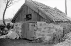 Stenskjul å Nord Bredegården (Engströms), Bjällum. 
Rivet 1953.