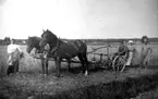 Arrendator Samuel Sandén, Prästgården.
Nathan Sandén i ljusare hatt. Han övertog arrendet 1919. 
(fram till 1925).

Reprofotograf: Gunnar Berggren.