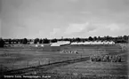 Bröderna Bohlins handelsträdgård i Älgarås.

Reprofotograf: Gunnar Berggren.