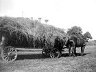 Karin Bäckström f. 1880 drev fotoateljé på Vasagatan 5 i Töreboda. Hon tog över den av sin far Thure Bäckström, som hade etablerat firman 1886, och hon drev den mellan 1896 -1916.
Karin Bäckström gifte sig år 1917 med John Knape.