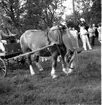 Thure Elgåsen. f. 26/6-1910. d. 6/9-1985. 
Tivedenkännare, konsthantverkare, scoutledare och hembygdsföreningsman. 
Övrig information se personarkiv å Västergötlands museum, Skara.