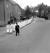 Skara. 
Konfirmation 1953.