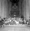 Skara. 
Domkyrkan 1956.