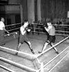 Skara. Boxning; Uno Ljungström, Skara, mot okänd 1950.