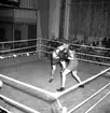 Skara. Boxning, Skara Teater 1950.