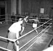 Skara. Boxning, Skara Teater 1950.