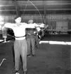 Skara. Bågskytte, uppvisning i SKLS Hallen 11/3 1951.