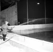 Skara. Hockeybanan på Skaravallen iordningställes 1955.