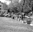 Skara. Krabbelund, Grönsakstorget 1966.