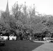 Skara. Krabbelund, Grönsakstorget 1966.