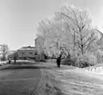 Skara. Marumsgatan 28/2 1963. Mannen till höger Rob. Hassel.