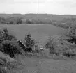 Sven Kristianssons hus i Öglunda sommaren 1964.