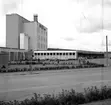 Skara. Svalöfbolaget 1964.