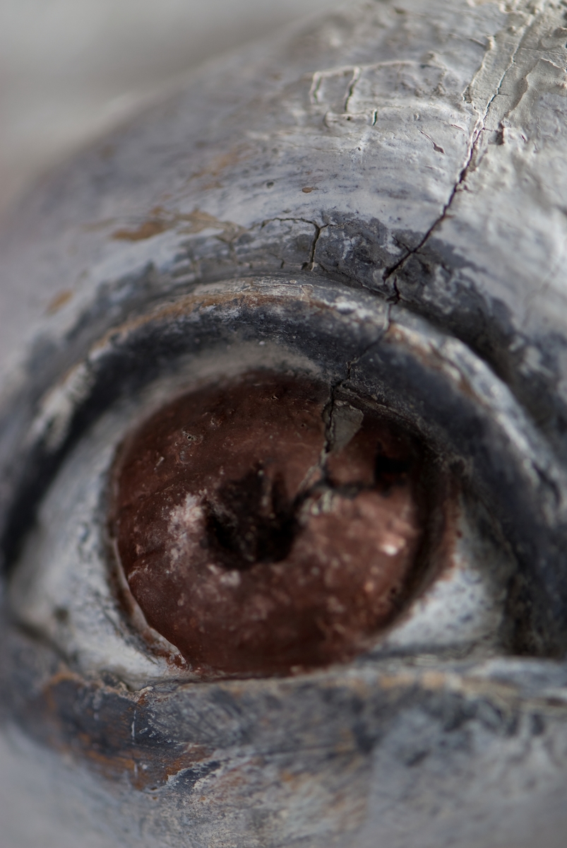 Galjonsabild föreställande bevingade hästen Pegasus. Har suttit på den norska fyrmastbarken med samma namn, byggd 1884. Idag hänger galjonsbilden i museets café.