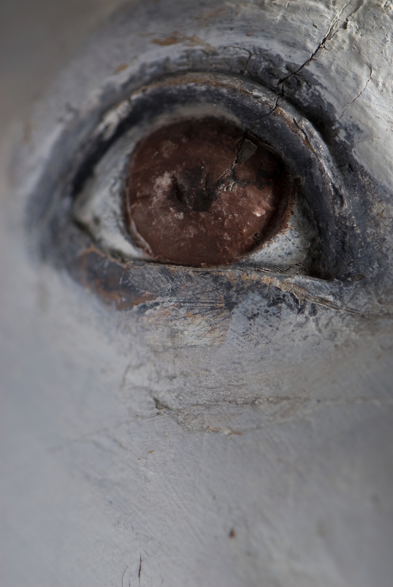 Galjonsabild föreställande bevingade hästen Pegasus. Har suttit på den norska fyrmastbarken med samma namn, byggd 1884. Idag hänger galjonsbilden i museets café.
