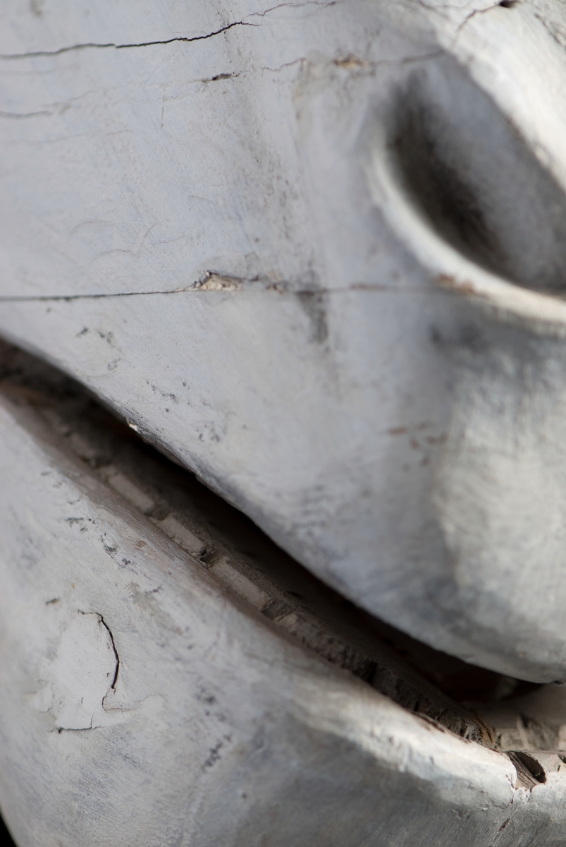 Galjonsabild föreställande bevingade hästen Pegasus. Har suttit på den norska fyrmastbarken med samma namn, byggd 1884. Idag hänger galjonsbilden i museets café.